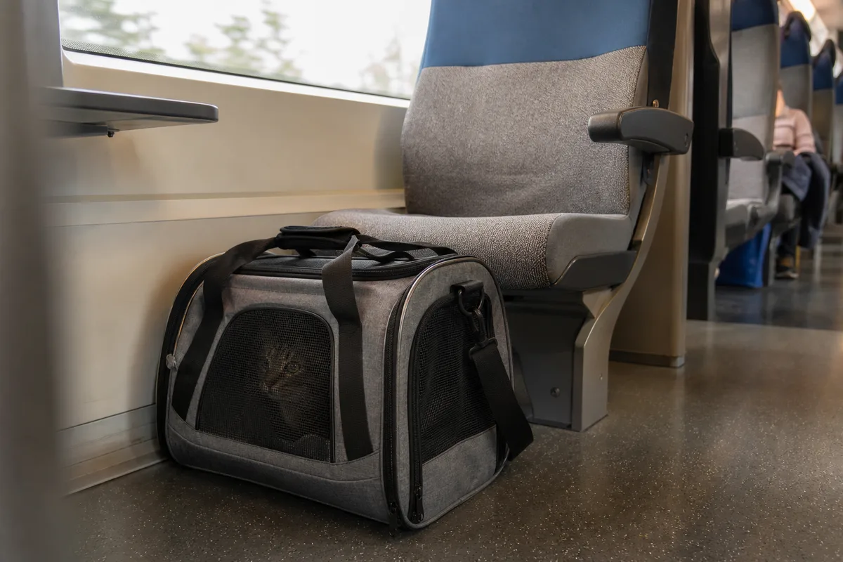 Sac de transport souple pour chat posé au sol devant un siège dans une voiture de train